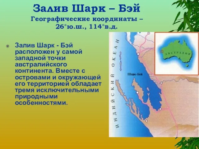Залив Шарк – Бэй Географические координаты – 26°ю.ш., 114°в.д. Залив Шарк -