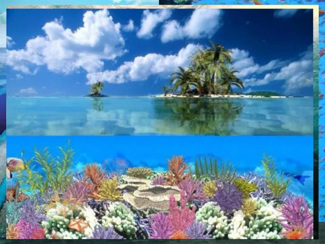 Здесь находится самое большое в мире скопление коралловых рифов, где насчитывается 400