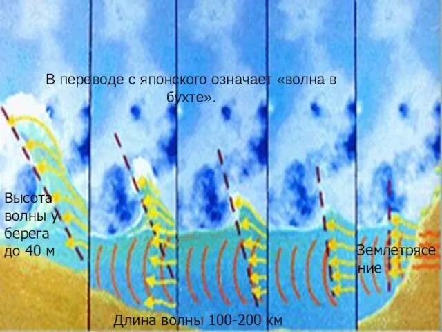 Цунами В переводе с японского означает «волна в бухте». Землетрясение Высота волны