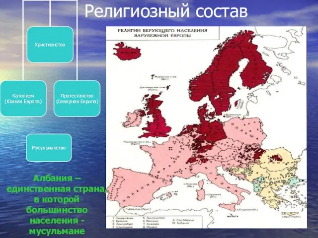 Религиозный состав Мусульманство Албания – единственная страна, в которой большинство населения - мусульмане