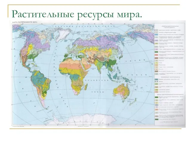 Растительные ресурсы мира.