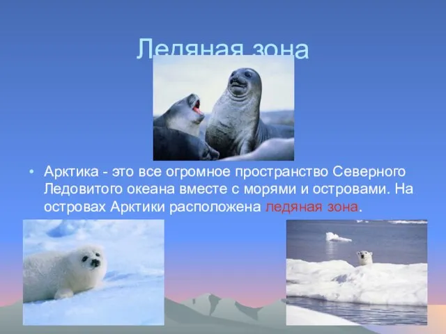 Ледяная зона Арктика - это все огромное пространство Северного Ледовитого океана вместе