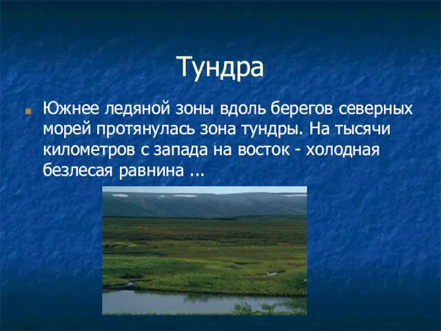 Тундра Южнее ледяной зоны вдоль берегов северных морей протянулась зона тундры. На