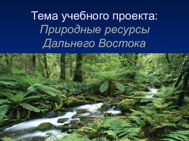 Тема учебного проекта: Природные ресурсы Дальнего Востока