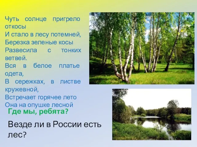 Чуть солнце пригрело откосы И стало в лесу потемней, Березка зеленые косы