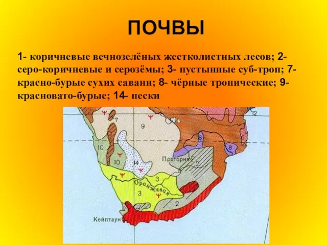 ПОЧВЫ 1- коричневые вечнозелёных жестколистных лесов; 2- серо-коричневые и серозёмы; 3- пустынные