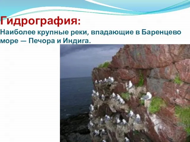 Гидрография: Наиболее крупные реки, впадающие в Баренцево море — Печора и Индига.