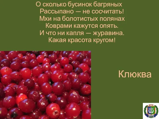 Клюква О сколько бусинок багряных Рассыпано — не сосчитать! Мхи на болотистых