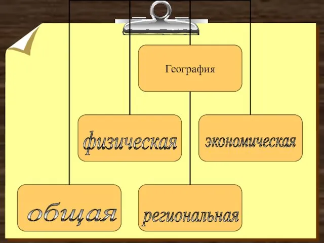 экономическая общая региональная физическая