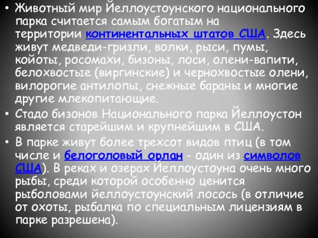 Животный мир Йеллоустоунского национального парка считается самым богатым на территории континентальных штатов