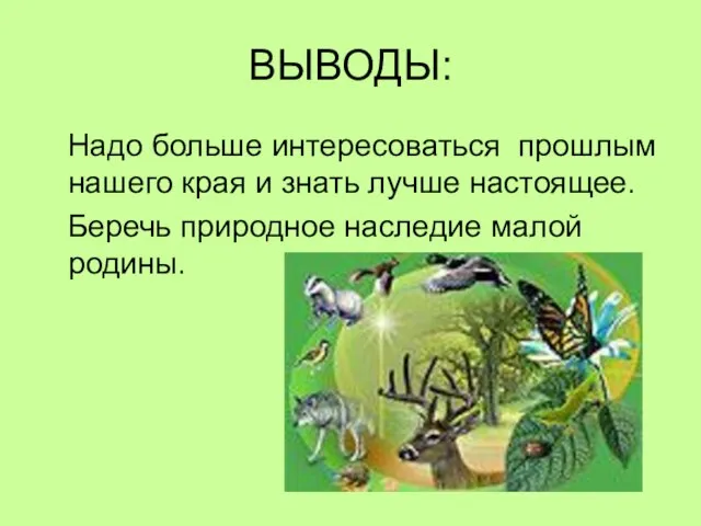 ВЫВОДЫ: Надо больше интересоваться прошлым нашего края и знать лучше настоящее. Беречь природное наследие малой родины.