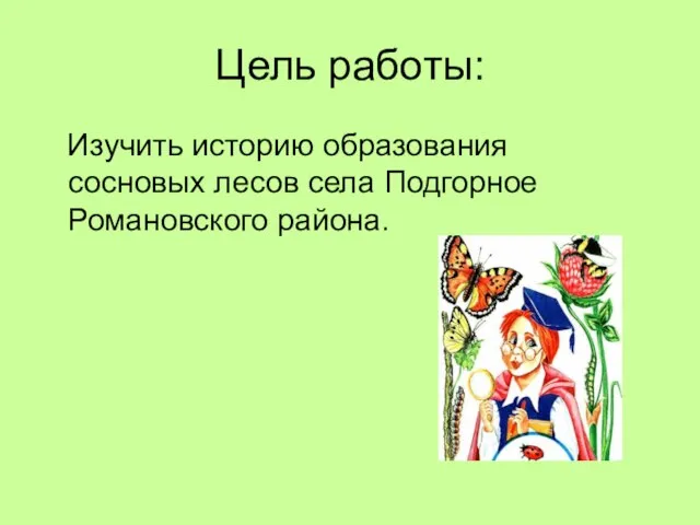 Цель работы: Изучить историю образования сосновых лесов села Подгорное Романовского района.