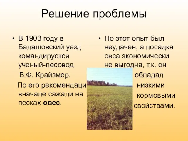 Решение проблемы В 1903 году в Балашовский уезд командируется ученый-лесовод В.Ф. Крайзмер.