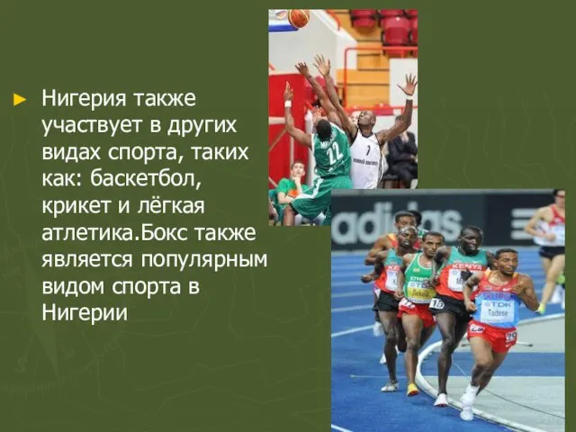 Нигерия также участвует в других видах спорта, таких как: баскетбол, крикет и