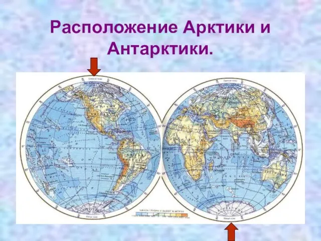 Расположение Арктики и Антарктики.