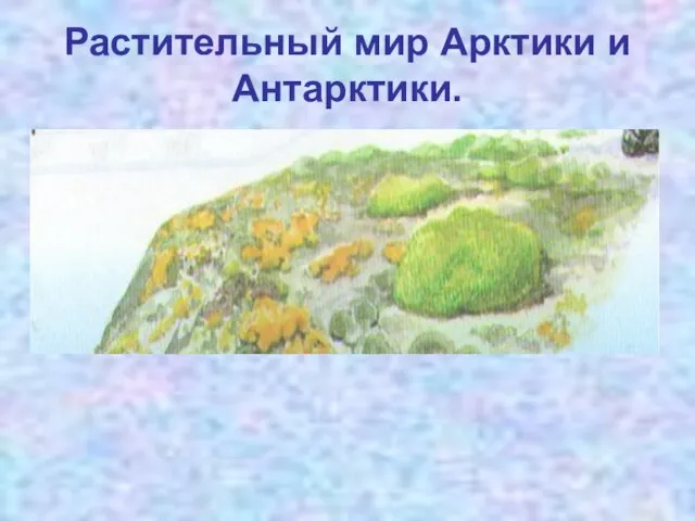 Растительный мир Арктики и Антарктики.