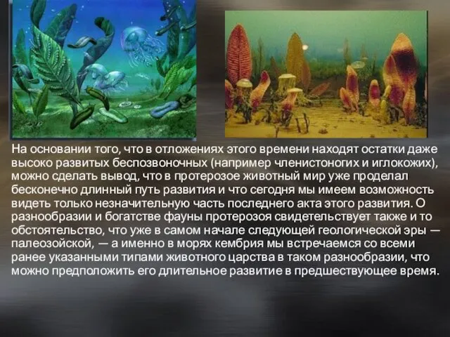 На основании того, что в отложениях этого времени находят остатки даже высоко