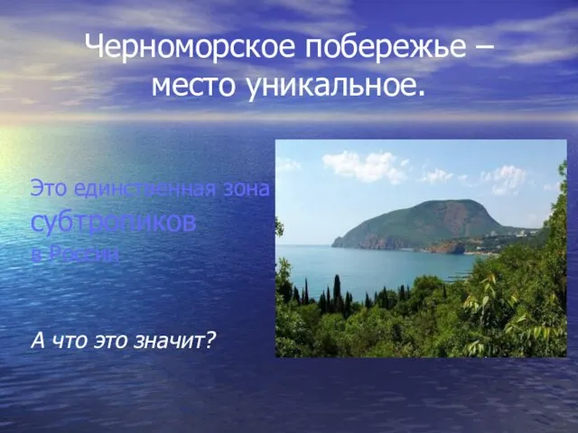 Черноморское побережье – место уникальное. Это единственная зона субтропиков в России А что это значит?