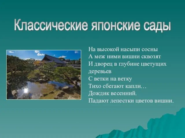 Классические японские сады На высокой насыпи сосны А меж ними вишни сквозят