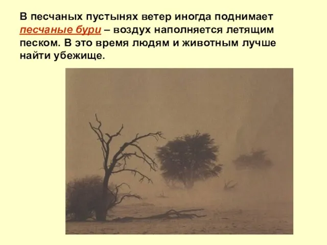 В песчаных пустынях ветер иногда поднимает песчаные бури – воздух наполняется летящим