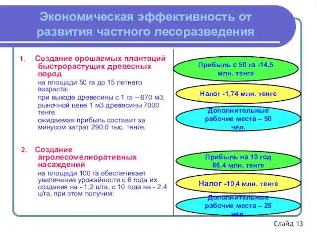 Налог -1,74 млн. тенге Прибыль с 50 га -14,5 млн. тенге Экономическая