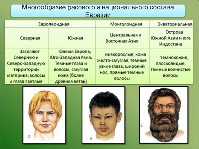 Многообразие расового и национального состава Евразии