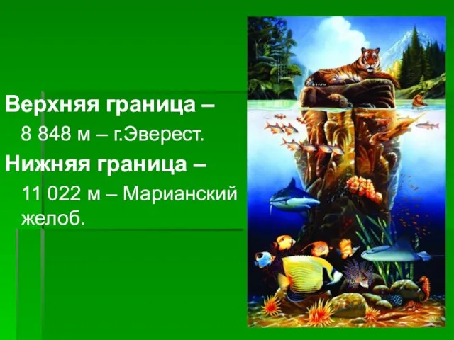 Верхняя граница – 8 848 м – г.Эверест. Нижняя граница – 11