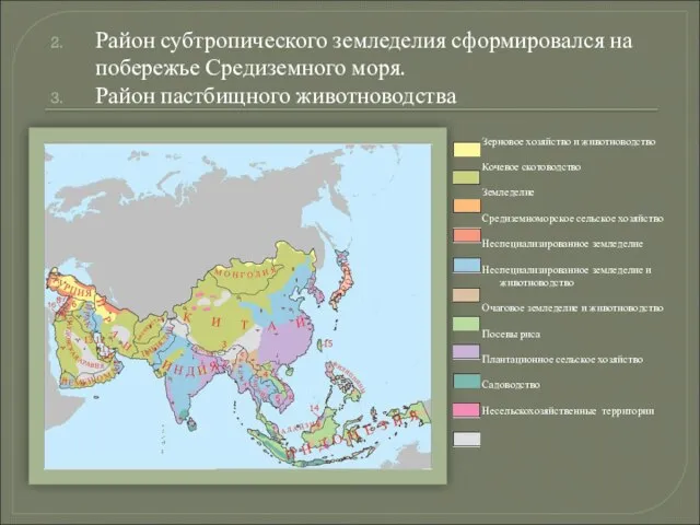 Район субтропического земледелия сформировался на побережье Средиземного моря. Район пастбищного животноводства Зерновое