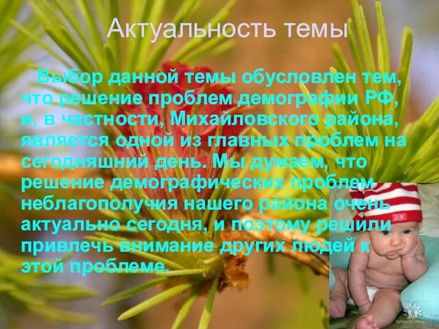 Актуальность темы Выбор данной темы обусловлен тем, что решение проблем демографии РФ,