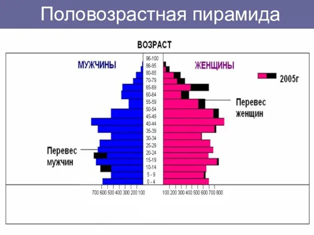 Половозрастная пирамида