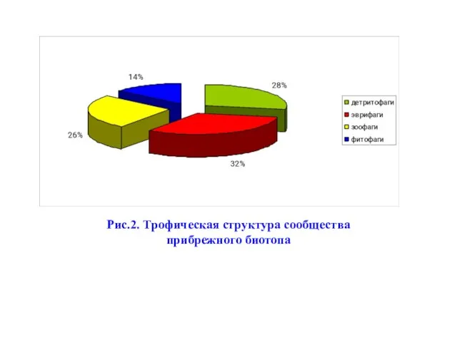 Рис.2. Трофическая структура сообщества прибрежного биотопа