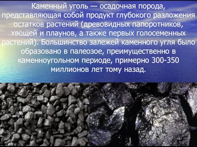 Каменный уголь — осадочная порода, представляющая собой продукт глубокого разложения остатков растений