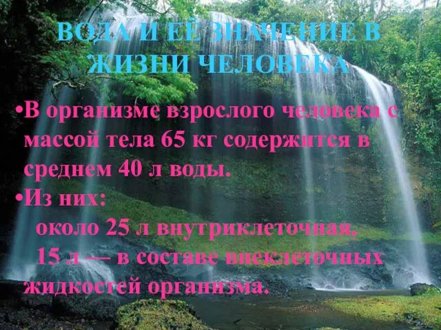 ВОДА И ЕЁ ЗНАЧЕНИЕ В ЖИЗНИ ЧЕЛОВЕКА В организме взрослого человека с