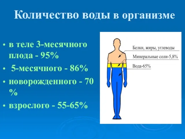 Количество воды в организме в теле 3-месячного плода - 95% 5-месячного -