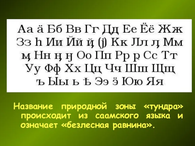 Название природной зоны «тундра» происходит из саамского языка и означает «безлесная равнина».