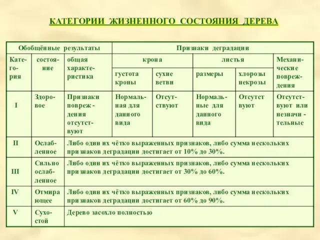 КАТЕГОРИИ ЖИЗНЕННОГО СОСТОЯНИЯ ДЕРЕВА