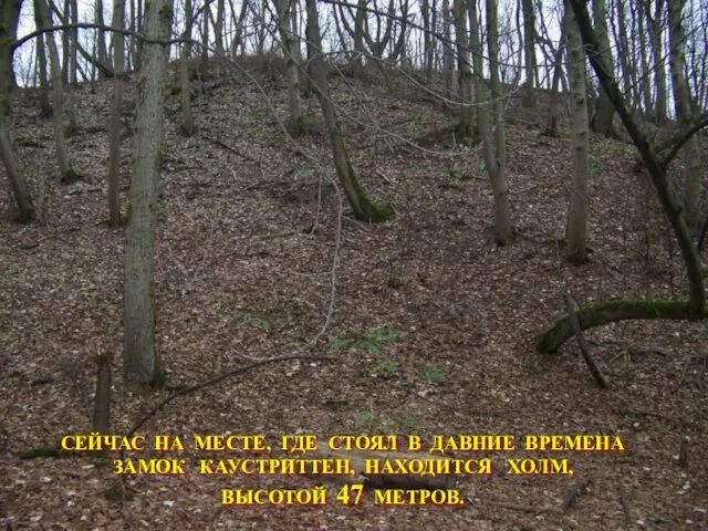 СЕЙЧАС НА МЕСТЕ, ГДЕ СТОЯЛ В ДАВНИЕ ВРЕМЕНА ЗАМОК КАУСТРИТТЕН, НАХОДИТСЯ ХОЛМ, ВЫСОТОЙ 47 МЕТРОВ.