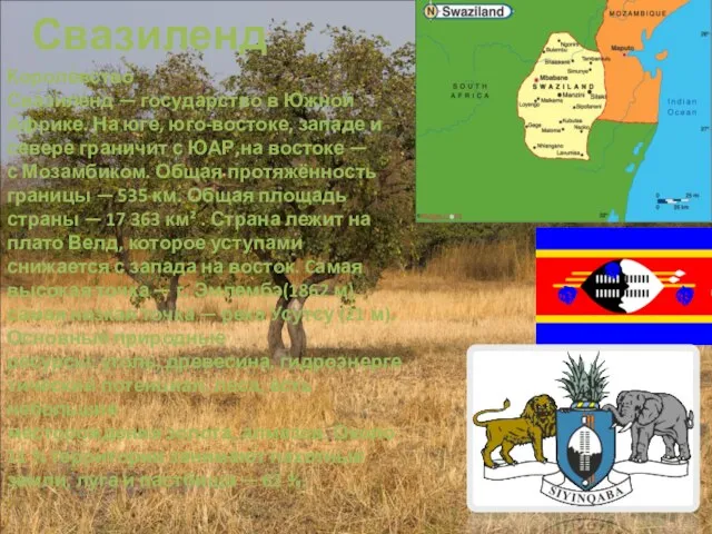 Свазиленд Короле́вство Сва́зиле́нд — государство в Южной Африке. На юге, юго-востоке, западе
