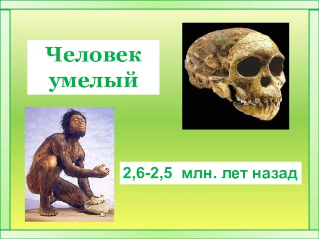 Человек умелый 2,6-2,5 млн. лет назад