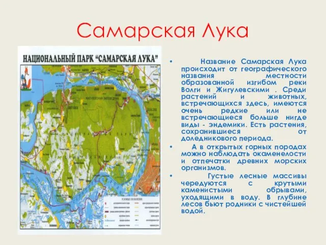 Самарская Лука Название Самарская Лука происходит от географического названия местности образованной изгибом