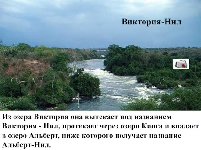 Виктория-Нил Из озера Виктория она вытекает под названием Виктория - Нил, протекает