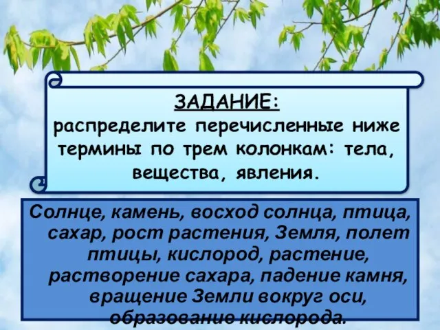 Солнце, камень, восход солнца, птица, сахар, рост растения, Земля, полет птицы, кислород,