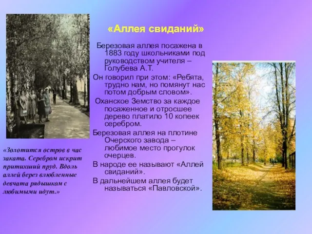 «Аллея свиданий» Березовая аллея посажена в 1883 году школьниками под руководством учителя