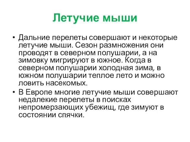 Летучие мыши Дальние перелеты совершают и некоторые летучие мыши. Сезон размножения они