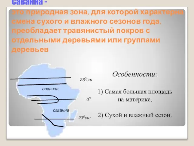 Саванна - это природная зона, для которой характерна смена сухого и влажного