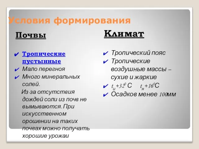 Условия формирования Почвы Климат Тропические пустынные Мало перегноя Много минеральных солей. Из-за