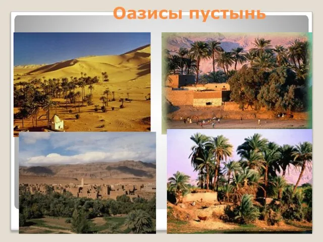 Оазисы пустынь