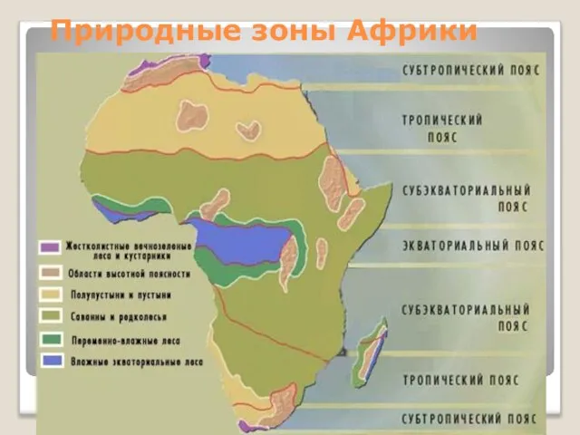 Природные зоны Африки