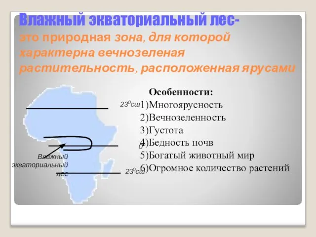 Влажный экваториальный лес- это природная зона, для которой характерна вечнозеленая растительность, расположенная