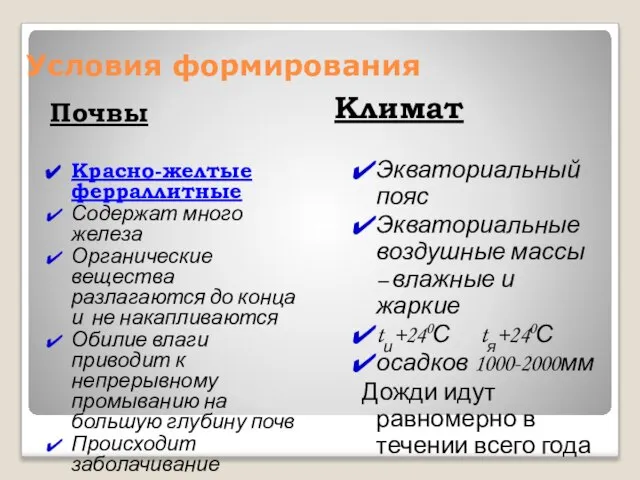 Условия формирования Почвы Климат Красно-желтые ферраллитные Содержат много железа Органические вещества разлагаются